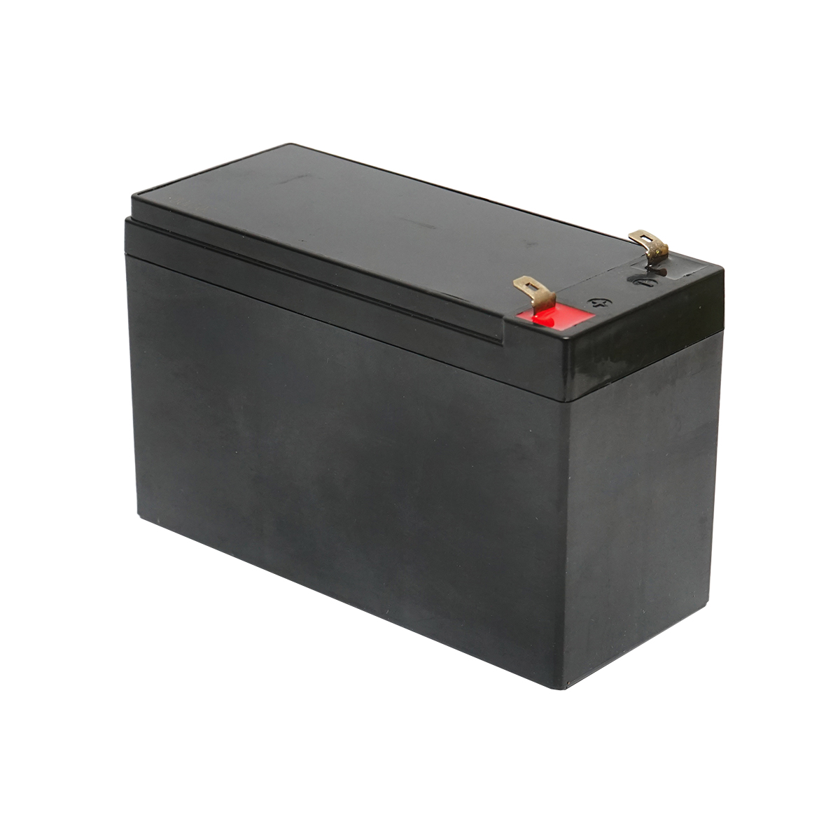 Baterie (acumulator) pentru pompa de stropit vermorel 12L Breckner Germany – imagine 3