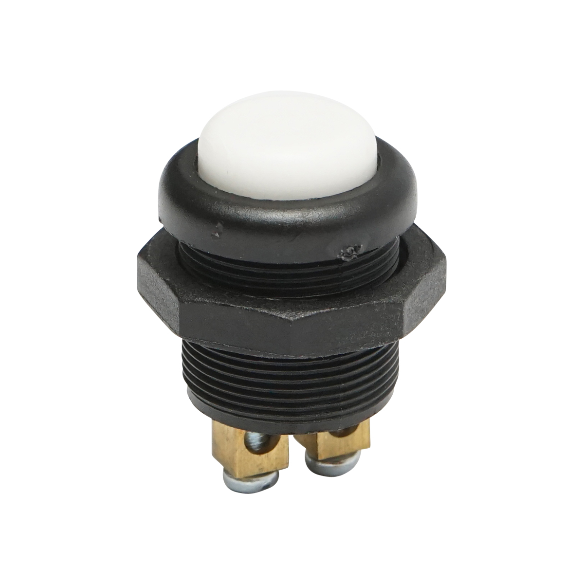 Buton pornire din plastic cu revenire 12-24V DC/10A, 125-250V AC/2A Breckner Germany