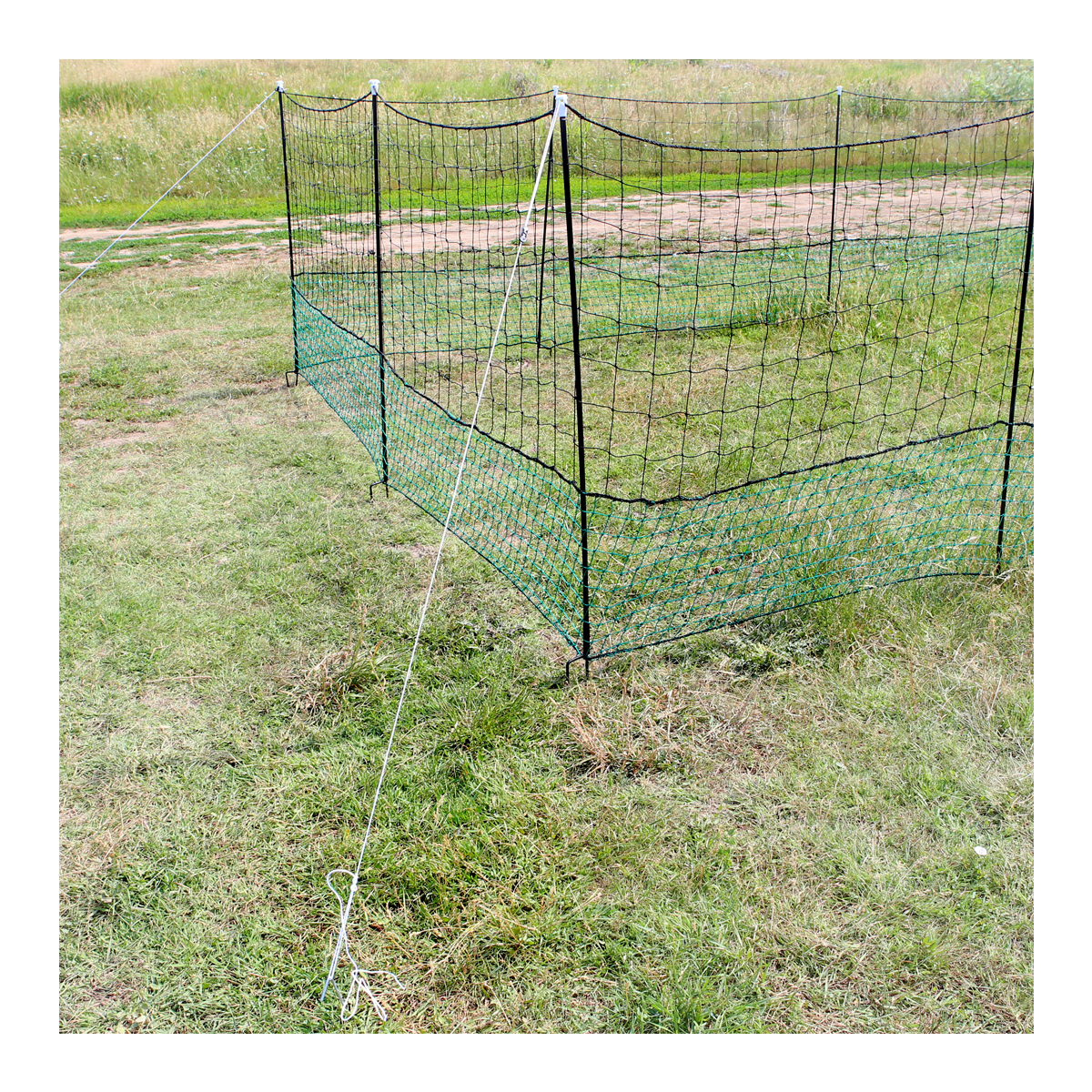 Plasa pasari curte 1.25x21m Breckner Germany – imagine 3