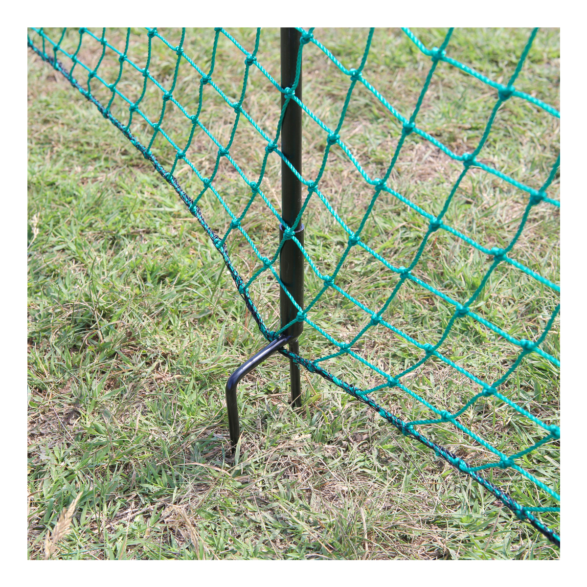Plasa pasari curte 1.25x21m Breckner Germany – imagine 4