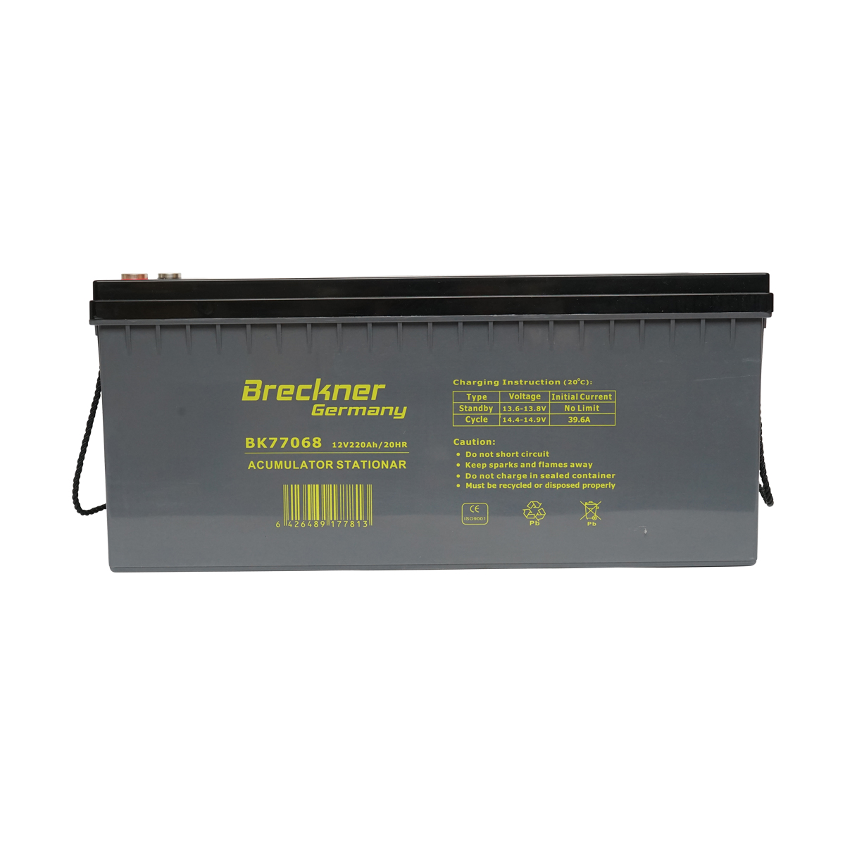 Sistem solar fotovoltaic cu invertor 3.5KW 220V ON-Grid Hibrid 100A MPPT Breckner Germay – imagine 4