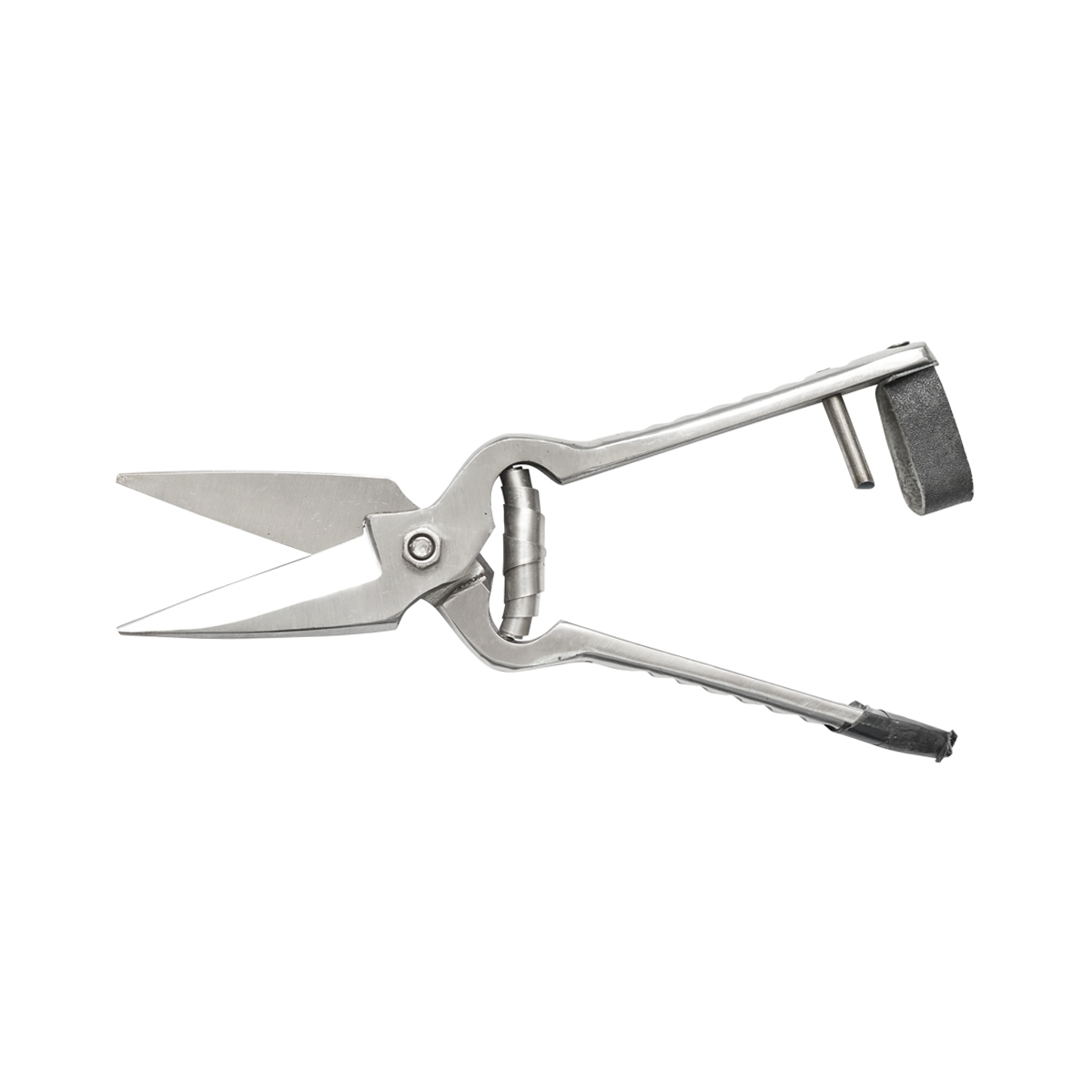 Imagine 2