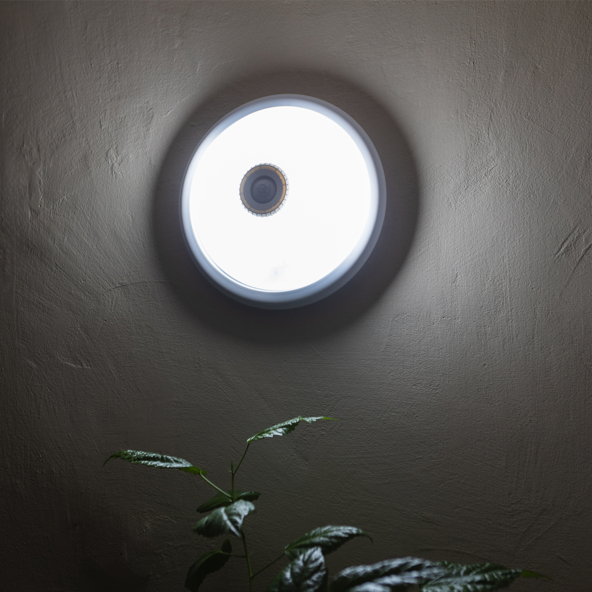 Imagine 3