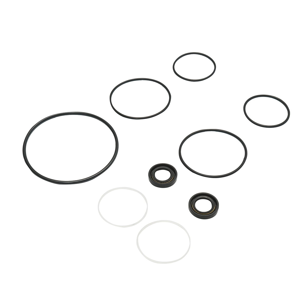 Kit garnituri reparatie pompa hidraulica servodirectie Massey Ferguson cod OEM 1810417M91