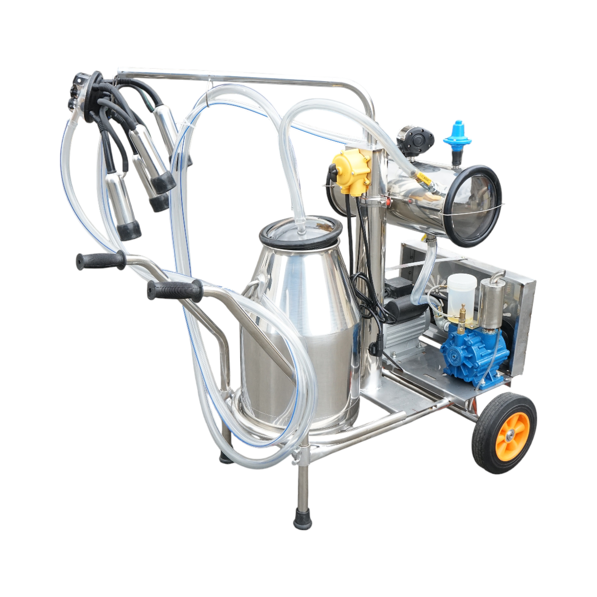 Aparat de muls vaci 1 post 750W, 220V bidon inox 25L, grup de muls cu 4 mansoane, presiune vid 40-50 kPa, pulsatii 60-80 cpm