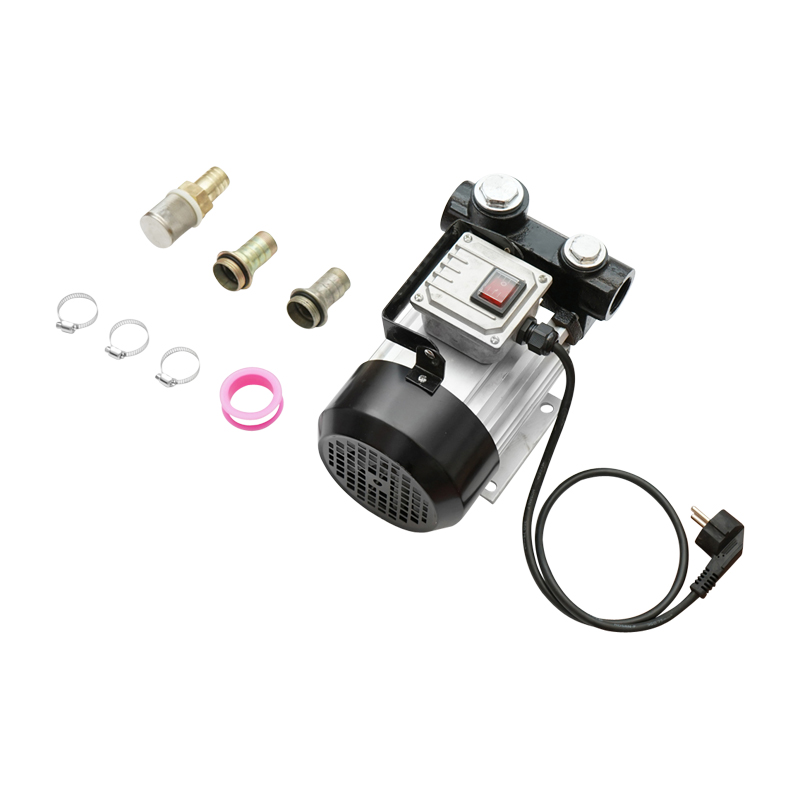Pompa transfer motorina 220V 550W debit 60L/min Breckner Germany – imagine 2