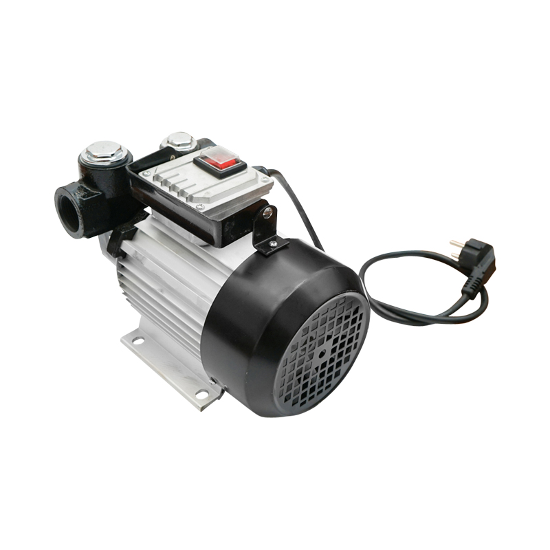 Pompa transfer motorina 220V 550W debit 60L/min Breckner Germany – imagine 3