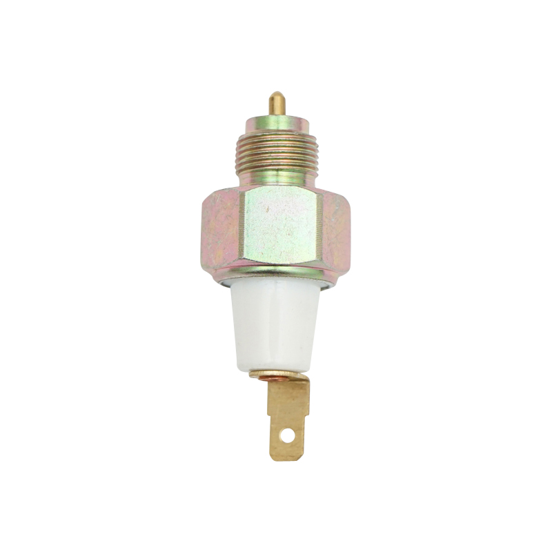 Sonda pompa frana cu ICP Dacia 1400, 1410, 1600 – imagine 2