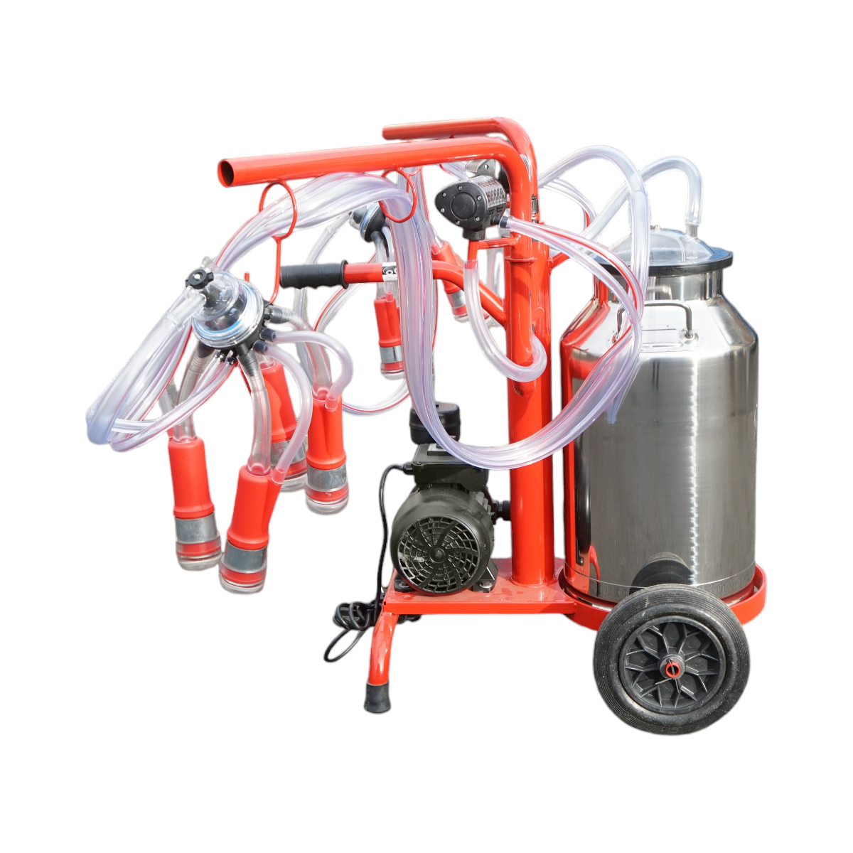 Aparat de muls vaci 2 posturi bidon 40L inox cu vid in cadru(vacuum) Breckner Germany – imagine 2