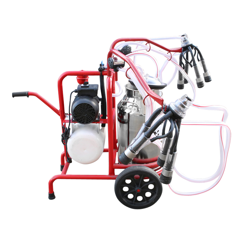 Aparat de muls vaci 2 posturi bidon 40L inox cu butelie, vacuum rezervor Breckner Germany