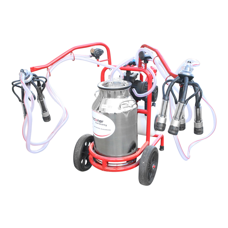 Aparat de muls vaci 2 posturi bidon 40L inox cu butelie, vacuum rezervor Breckner Germany – imagine 6