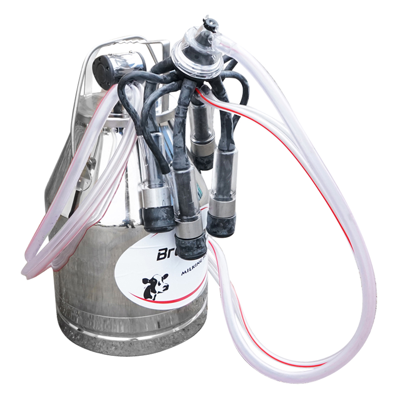 Bidon de inox 30L pentru muls germicidal Breckner Germany – imagine 3