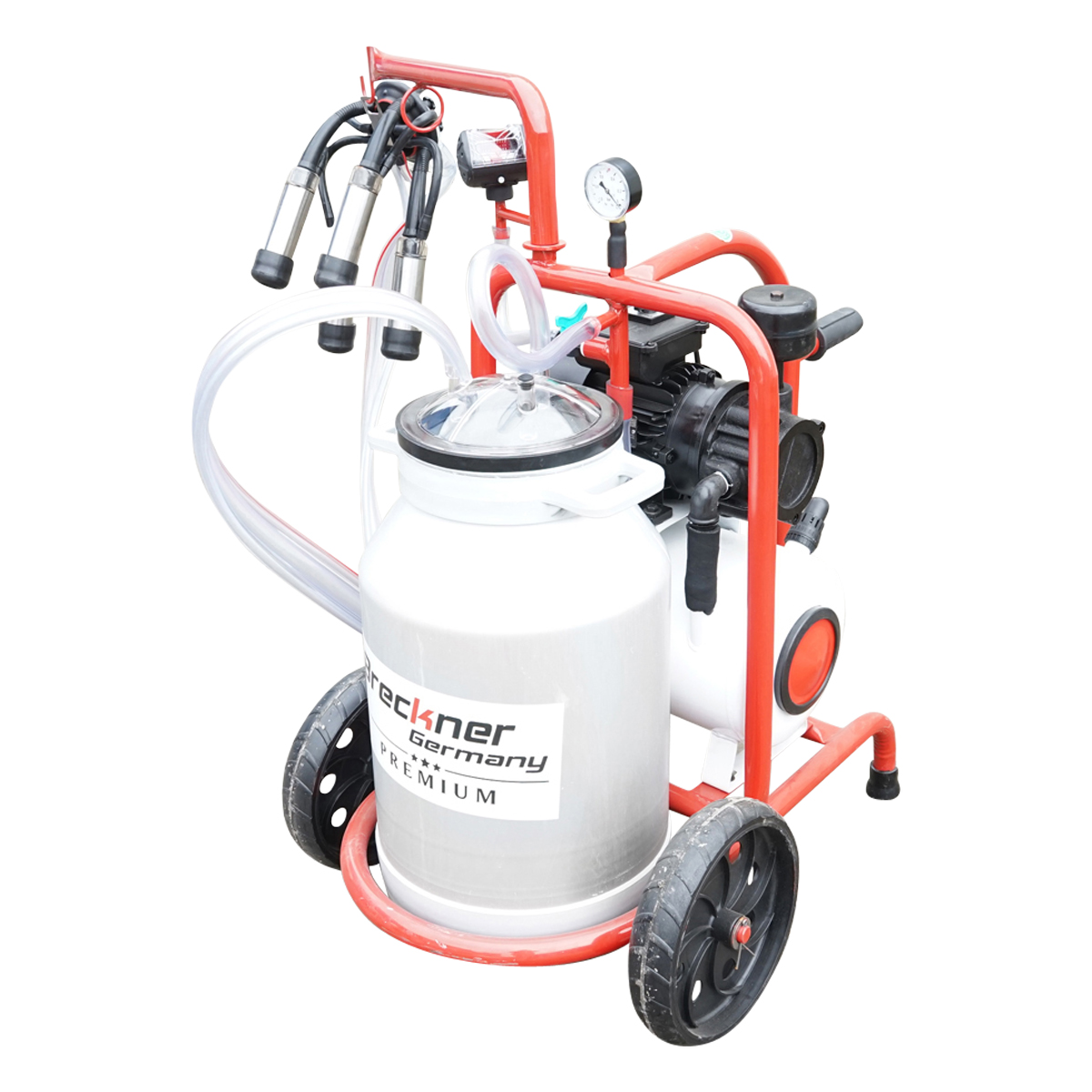 Imagine 7