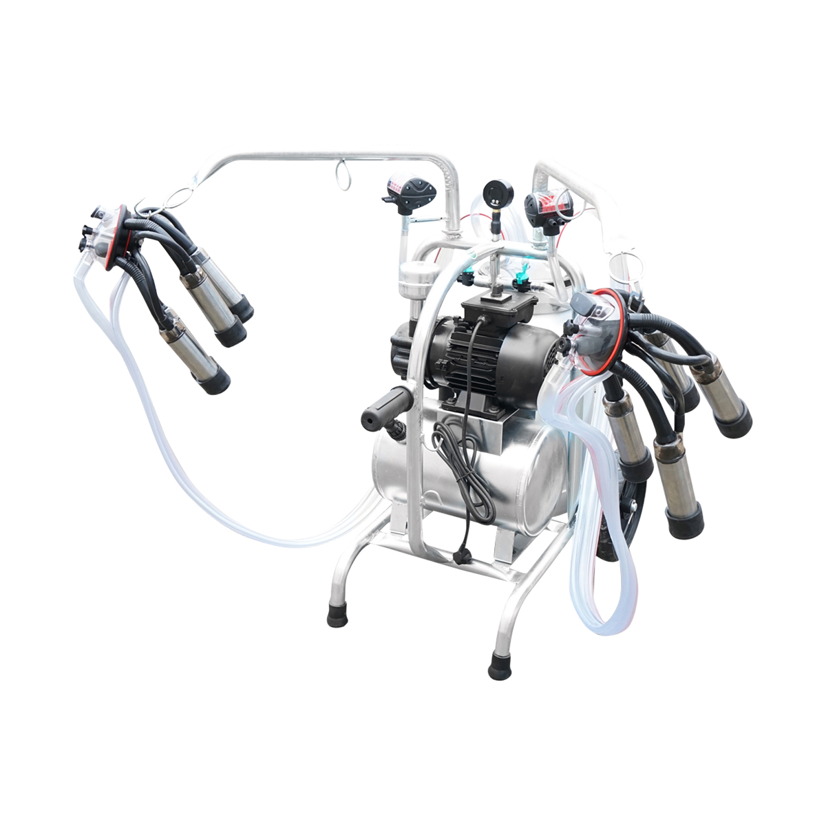 Aparat de muls vaci cu grup colector 160cc sasiu galvanizat bidon aluminiu 40L 2 posturi Breckner Germany – imagine 8