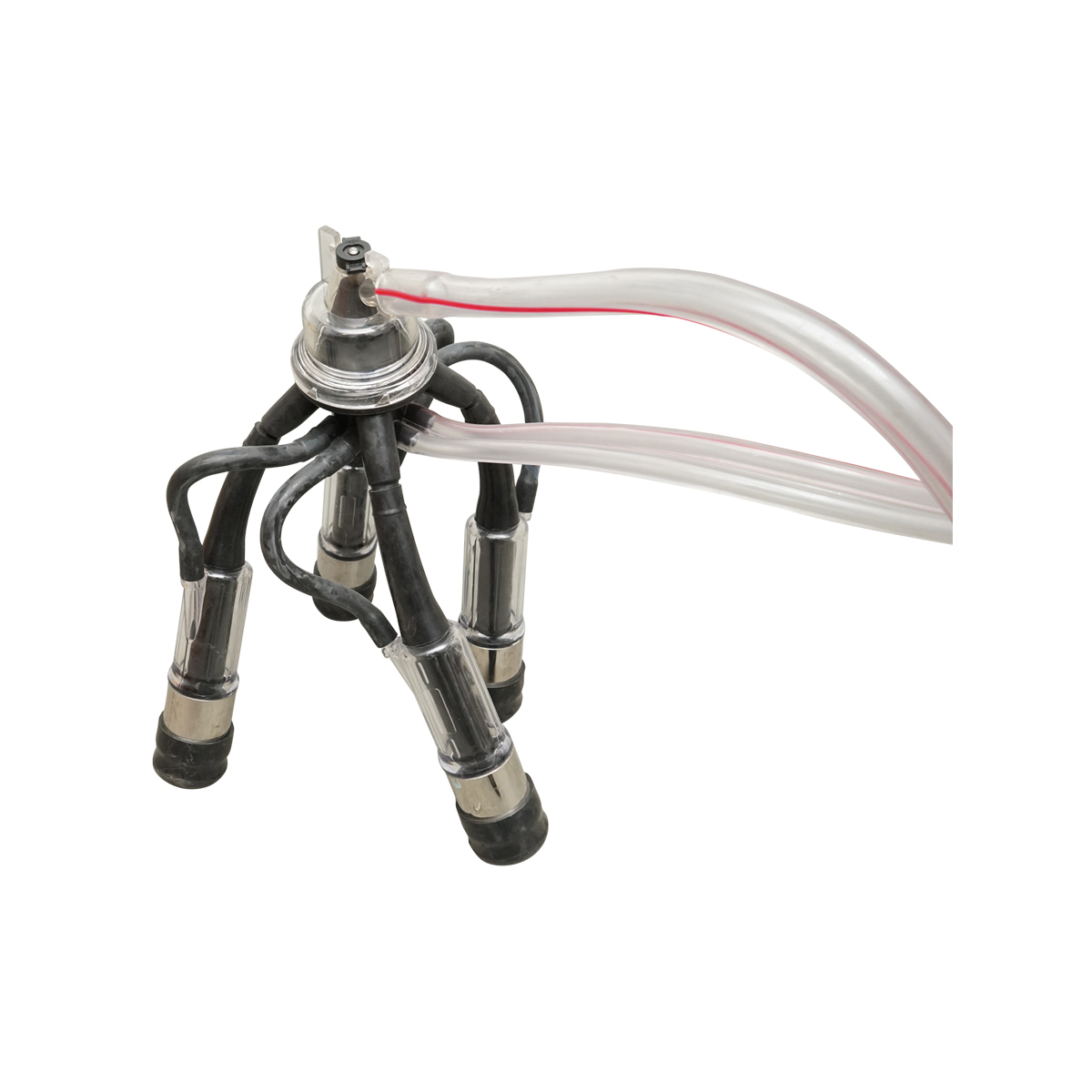 Aparat de muls vaci cu grup colector 160cc, sasiu galvanizat, bidon inox 40L, 2 posturi Breckner Germany – imagine 8