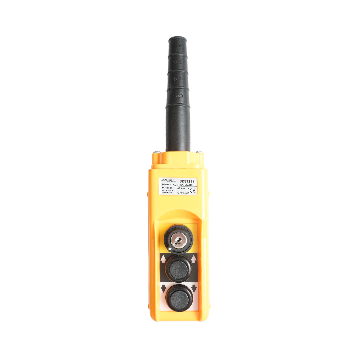 Telecomanda industriala cu 2 comenzi si contact general cu cheie AC 250V/5A-500V/2A Breckner Germany