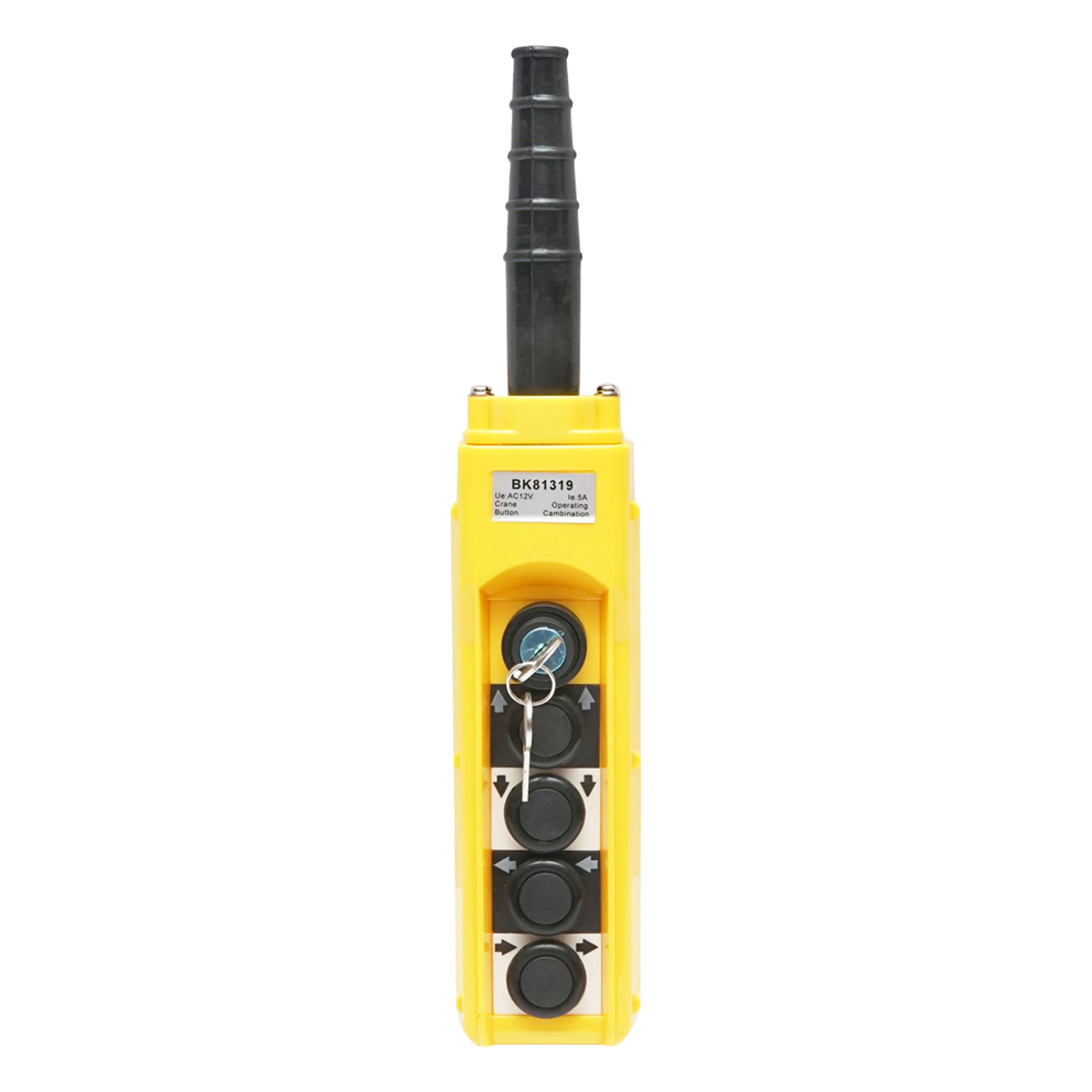 Telecomanda industriala cu 4 comenzi si contact general cu cheie 12V Breckner Germany