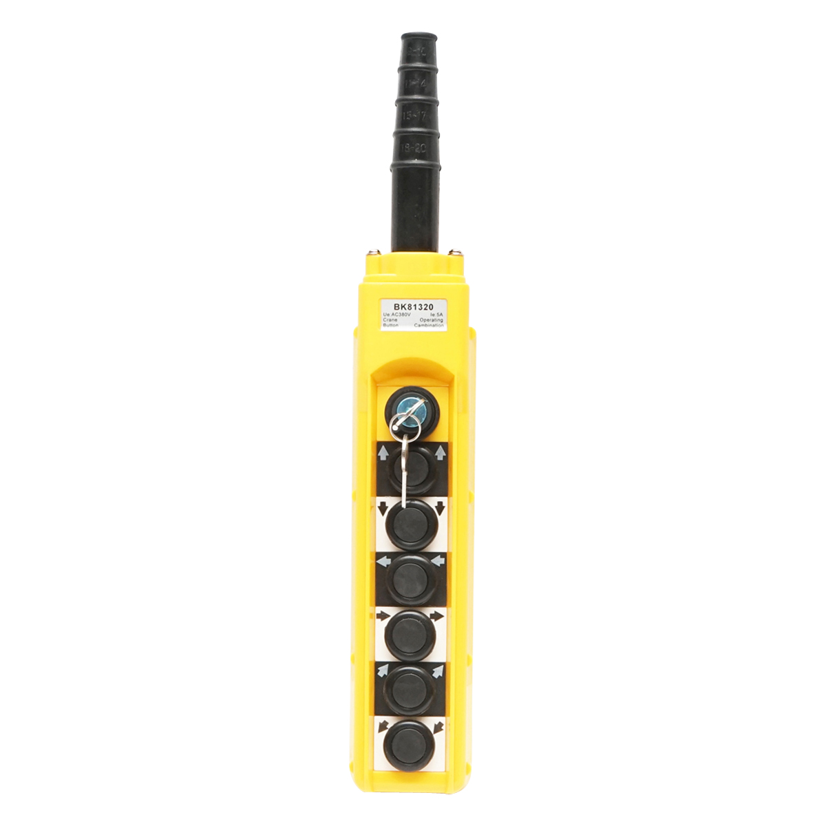 Telecomanda industriala cu 6 comenzi si contact general cu cheie 380V Breckner Germany