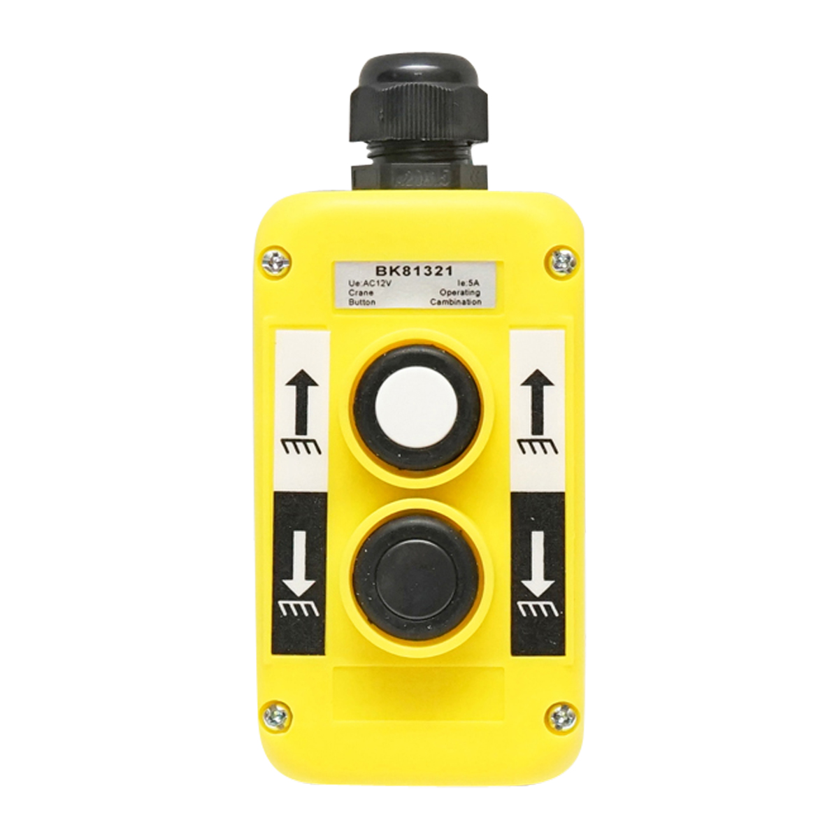 Telecomanda industriala cu 2 comenzi 12V Breckner Germany